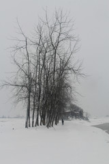  China's inland rivers and lakes in winter