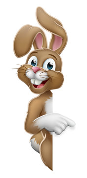 The Easter bunny rabbit cartoon character peeking around a sign and pointing at it