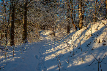 snow covered winter road with tire tracks