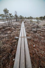 nature trail in swamp in deep snow in winter