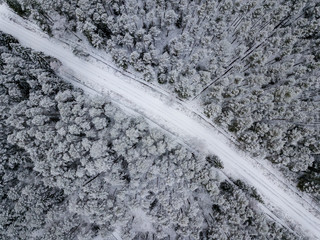 drone image. aerial view of forest area in winter with snowy trees
