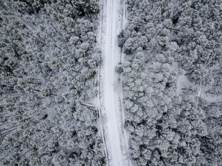 drone image. aerial view of forest area in winter with snowy trees