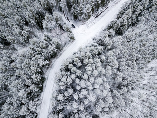 drone image. aerial view of forest area in winter with snowy trees
