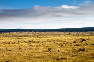 Fototapeta premium Panorami del New Mexico (USA)