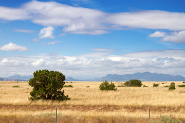 Fototapeta premium Panorami del New Mexico (USA)