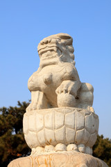 Stone lion sculpture in ancient China