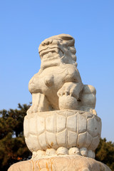 Fototapeta premium Stone lion sculpture in ancient China