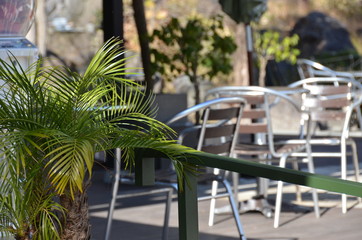 Tropical restaurant on the beachfront