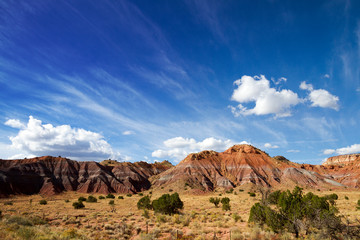 Fototapeta premium Panorami del New Mexico (USA)