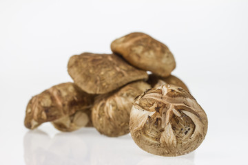 Small group of japanese mushrooms, Shiitake Mushroom isolated on white