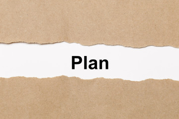 Plan, Inspiration and business concept torn paper