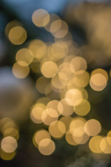 Obraz premium Blurred bokeh background texture. warm white garland lights.