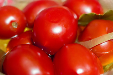 tomatoes salted close-up