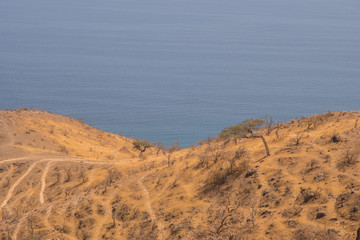 Beach and Arabian Sea. Dhofar. Oman