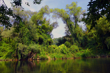 Fototapeta na wymiar River flow Laborec in the natural environment, Slovakia