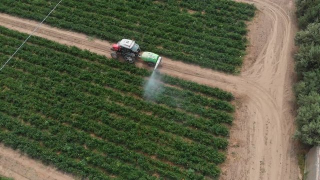 Drone flying over tractor sparying bell peppers field- south of Italy