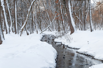 wild ducks floating on the winter river