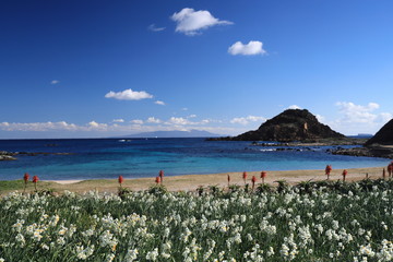 冬のトロピカルな海岸