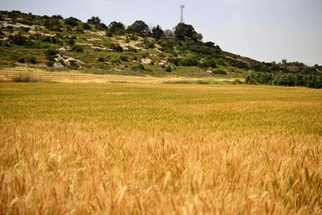 Jesus Trail - hiking through Galilee countryside in spring time, from Nazareth to Sea of Galilee,...