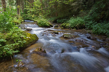 Bachlandschaft im Lachtal - Steiermark