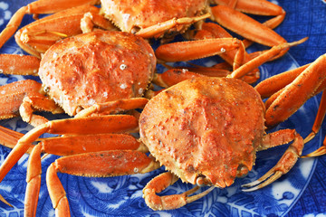 冬の味覚せいこがにを肴に一献