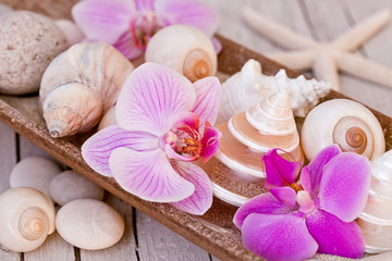 Obraz na płótnie Canvas Pink Orchid flowers and beach treasures still life, pretty shells, starfish and mother of pearl arranged in a wooden bowl, a beautiful design for home decoration, stylish fashion or trendy accessory