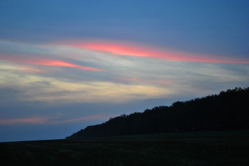 Beautiful sunset, purple-pink sky, oak trees silhouettes line along meadow, sunlight on horizon