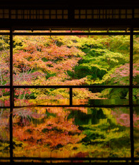 晩秋の瑠璃光院
