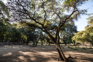 Obraz premium Äthiopien - Gondar - Bad des Fasilidas
