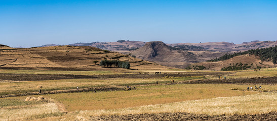 Äthiopien - Fahrt von Gondar in die Simien Mountains (Sämen-Nationalpark)