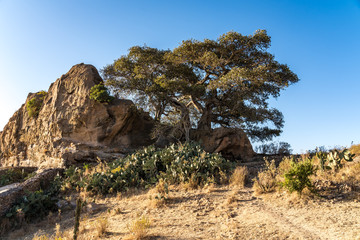 &Auml;thiopien / Ethiopia - Landschaft auf der Fahrt von Aksum nach Gheralta