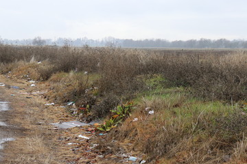 litter