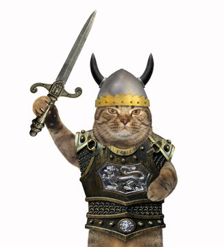 The cat knight in a helmet and a cuirass holds a sword. White background.