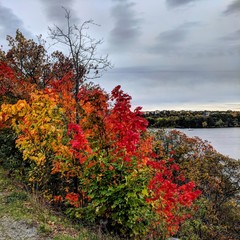 Naklejka premium Autumn Coatal Colors