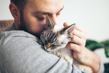 Portrait of happy cat with close eyes and young beard man snuggling. Handsome young man is hugging and cuddling his cute color point Devon Rex kitten. Domestic pets. Kitty likes attention and purrs - Powered by Adobe