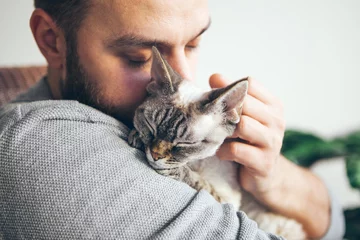 Foto op Plexiglas Portrait of happy cat with close eyes and young beard man snuggling. Handsome young man is hugging and cuddling his cute color point Devon Rex kitten. Domestic pets. Kitty likes attention and purrs © veera