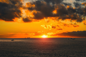 A herd of bulls graze in a meadow landscape on the sunset and the stormy sky background.  Picturesque view of cattle grazing in the American countryside.