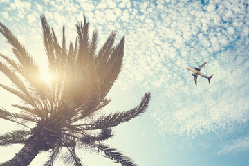Airplane flying over tropical palm tree on cloudy sunset sky background. Summer and travel concept