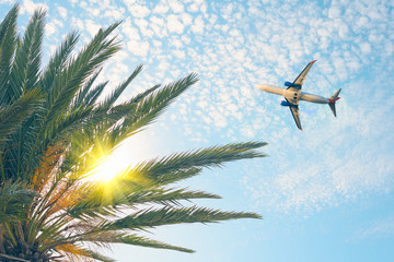 Airplane flying over tropical palm tree on cloudy sunset sky background. Summer and travel concept - obrazy, fototapety, plakaty