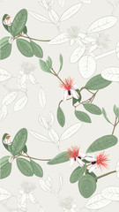 Pattern, background with with feijoa flowers