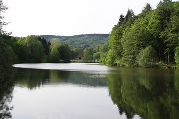 Wald am See