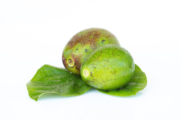 Avocado fruit on white background