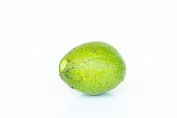Avocado fruit on white background