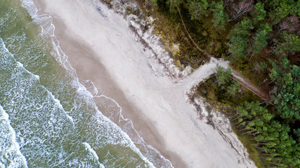 morze plaża drzewa woda © Piotr