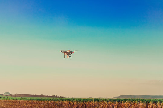 Agriculture drone flying on the green sugar cane field at sunrise - Smart farming , Hi-Tech Agriculture conceptual image.