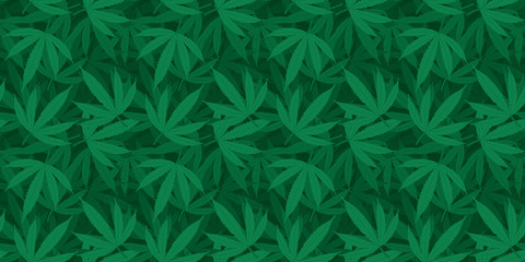 Cannabis or marijuana seamless pattern background. Vector.