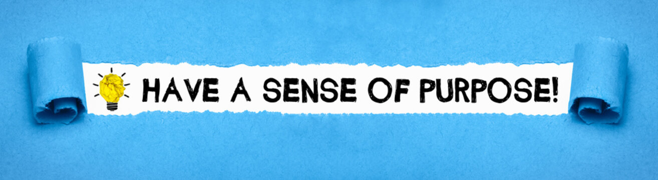 Sense Of Purpose Bilder Durchsuchen 3,527 Archivfotos,