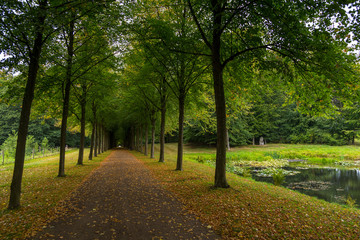 Fototapeta na wymiar Long avenue in Palace gardens, Fredensborg, Denmark.