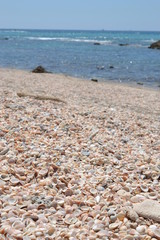 Beach of shells, Coast landscape of Caesarea Maritima, Mediterranean Sea, Israel