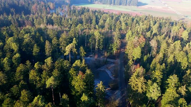 Gefrorener See im Wald
